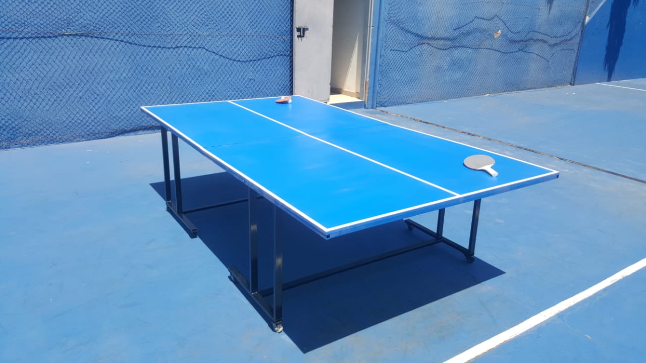 Mesa de ping pong con ruedas, red y paletas 2,75 x 1,52 cm